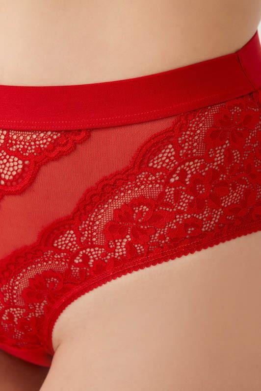 Dantelli Arkası Transparan Büyük Beden Bikini Külot 3lü Paket-2