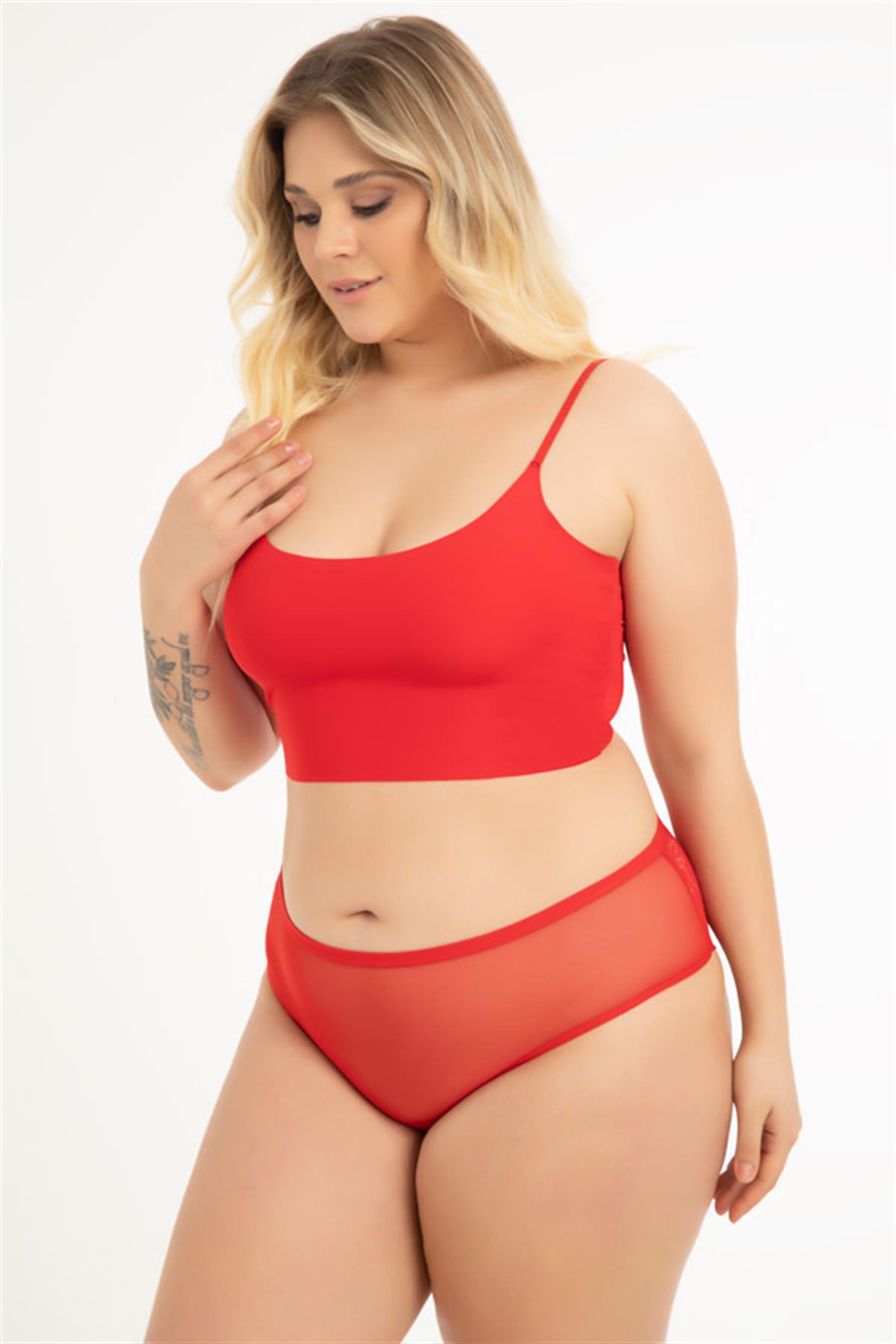 Transparan Tüllü Dantel ve Taş Detaylı Özel Bölgesi Açık Büyük Beden Kadın Tanga Külot 3lü Paket