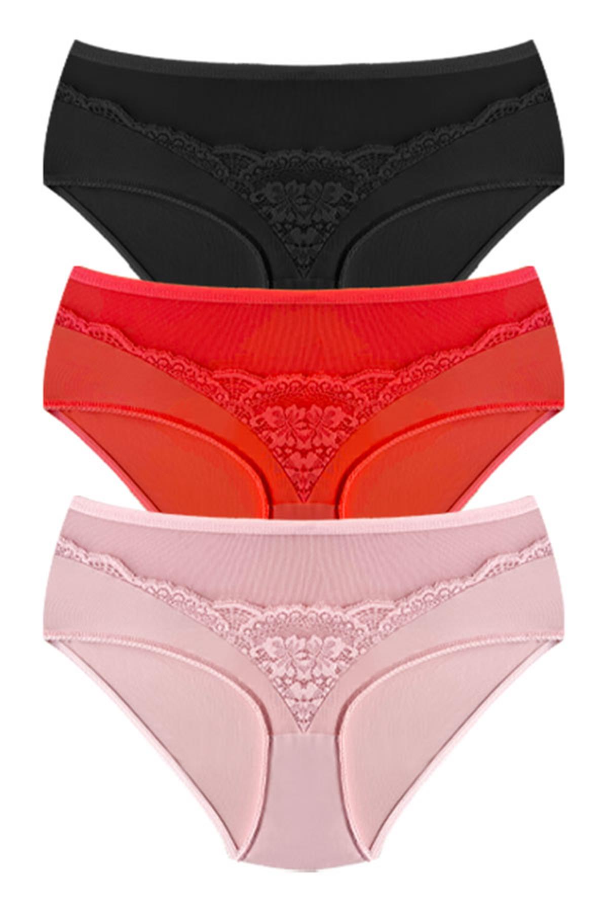 Transparan Tüllü Dantel Detaylı Beli Lastikli Büyük Beden Kadın Bikini Külot 3lü Paket