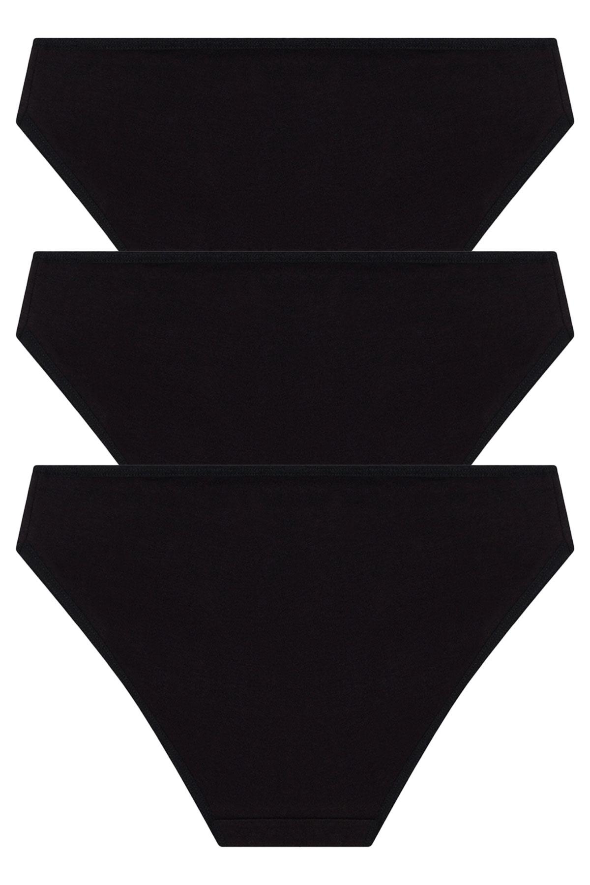 Basic Pamuklu Kadın Bikini Külot 3lü Paket - 7
