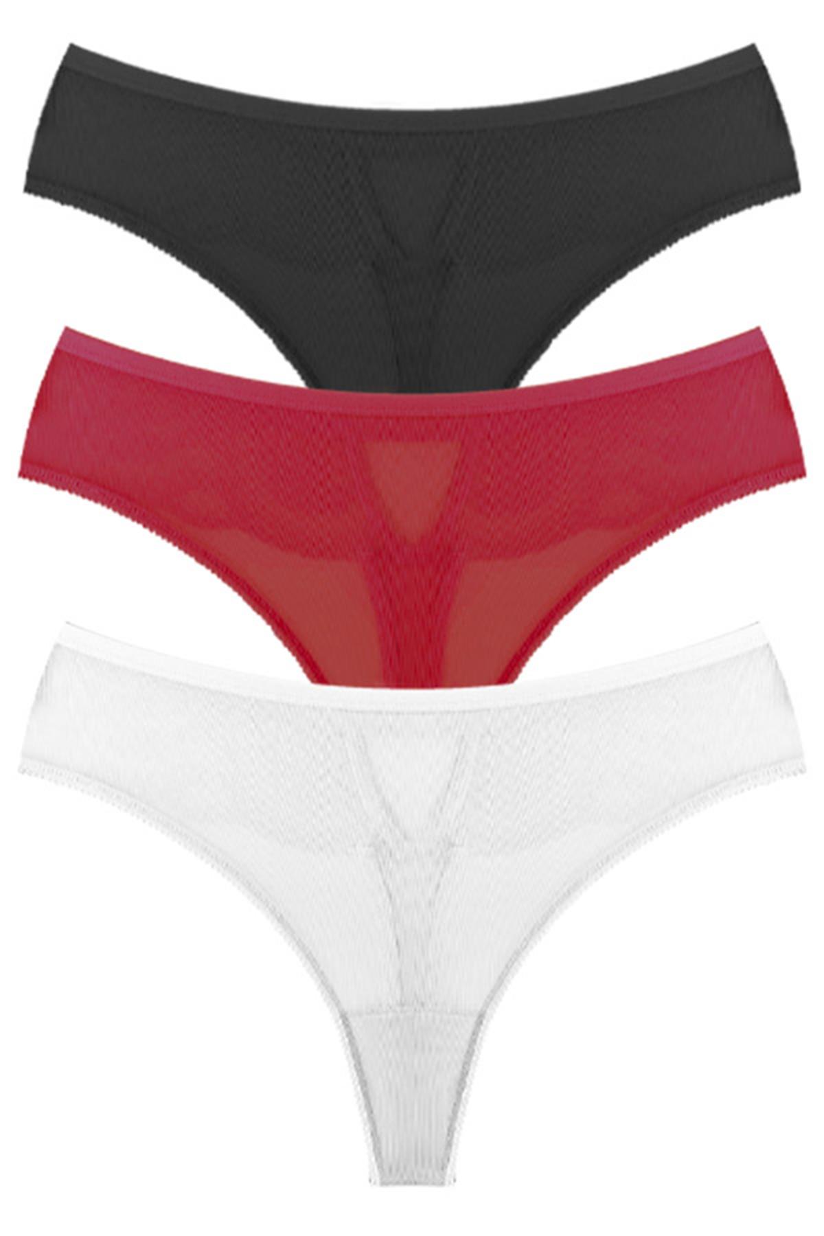 Transparan Tüllü Dantel ve Taş Detaylı Büyük Beden Kadın Tanga Külot 3lü Paket-2