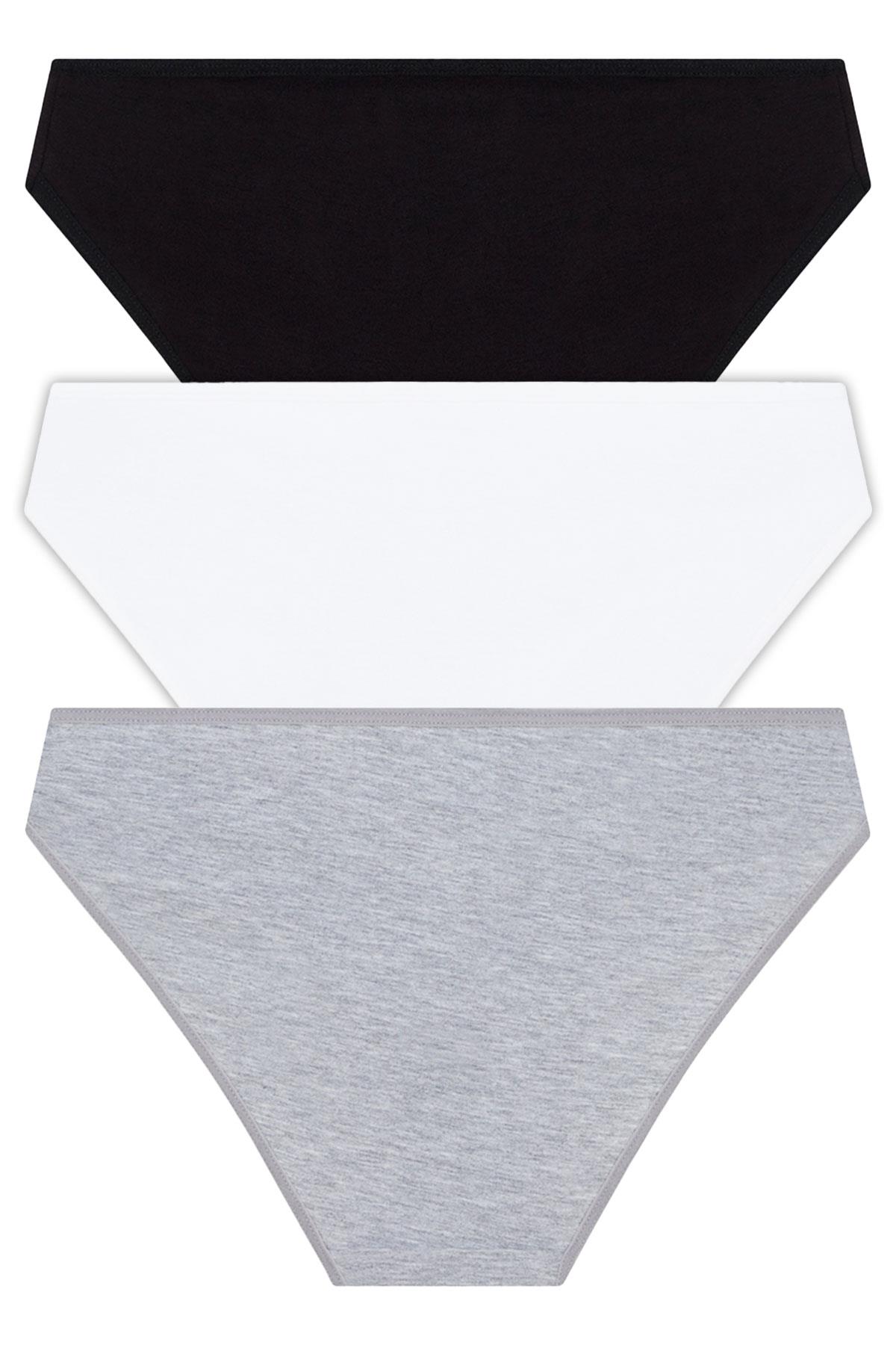 Basic Pamuklu Kadın Bikini Külot 3lü Paket - 4