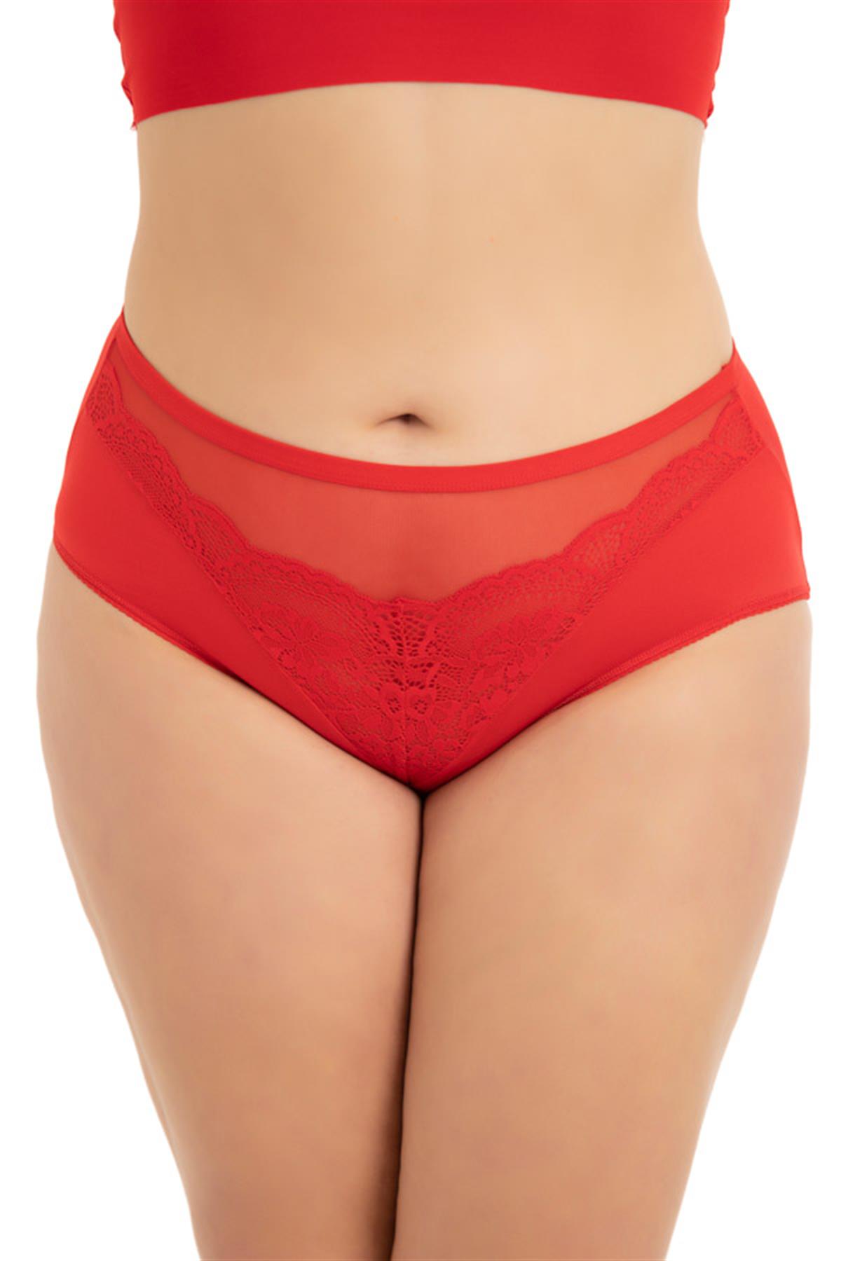 Transparan Tüllü Dantel Detaylı Beli Lastikli Büyük Beden Kadın Bikini Külot 3lü Paket