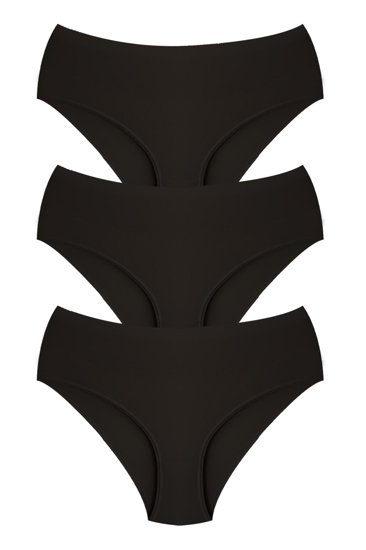 Pamuklu Yüksek Bel Toparlayıcı Kadın Bikini Külot 3lü Paket - 2