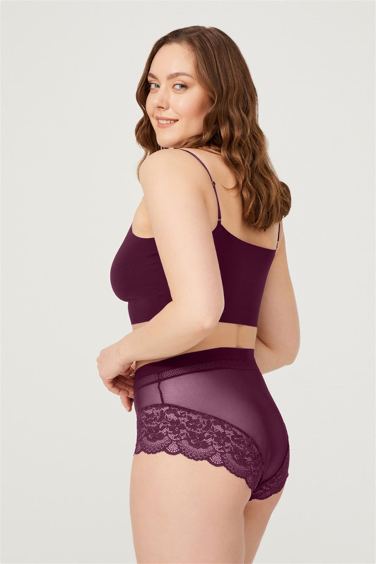 Dantel Detaylı Transparan Büyük Beden Bikini Külot 3lü Paket-2