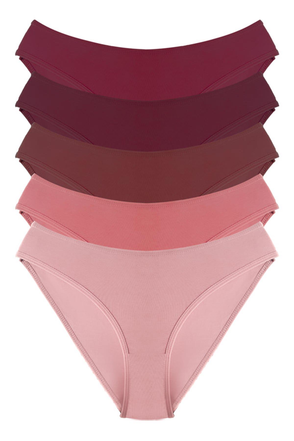 Pamuklu Kadın Bikini Külot 5li Paket-2