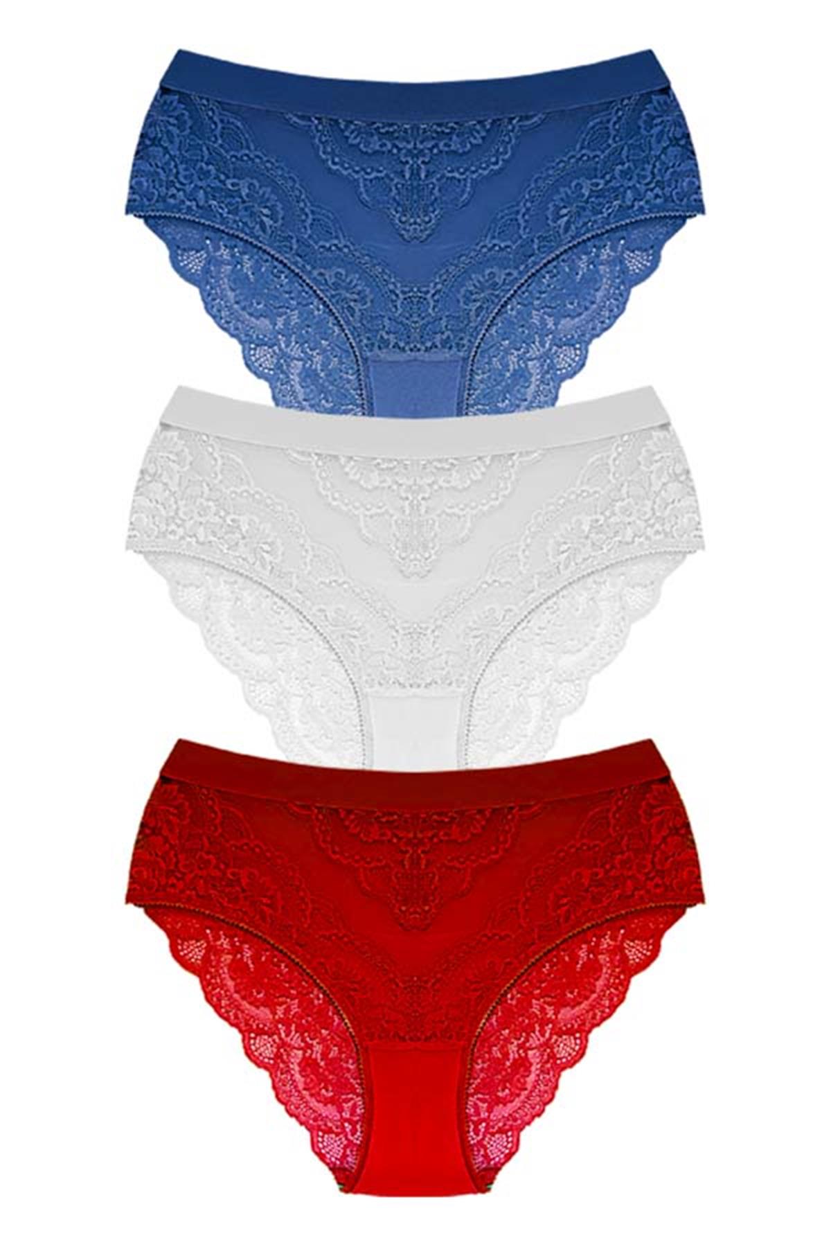 Dantelli Arkası Transparan Büyük Beden Bikini Külot 3lü Paket-2