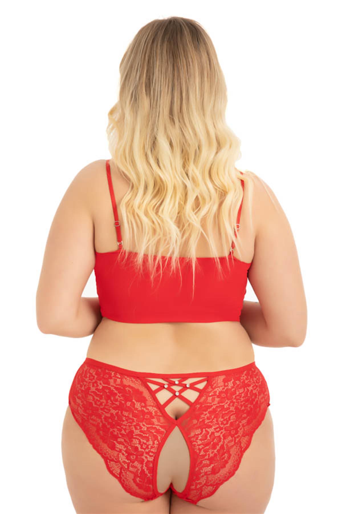 Transparan Tüllü Dantel ve Taş Detaylı Özel Bölgesi Açık Büyük Beden Kadın Tanga Külot 3lü Paket