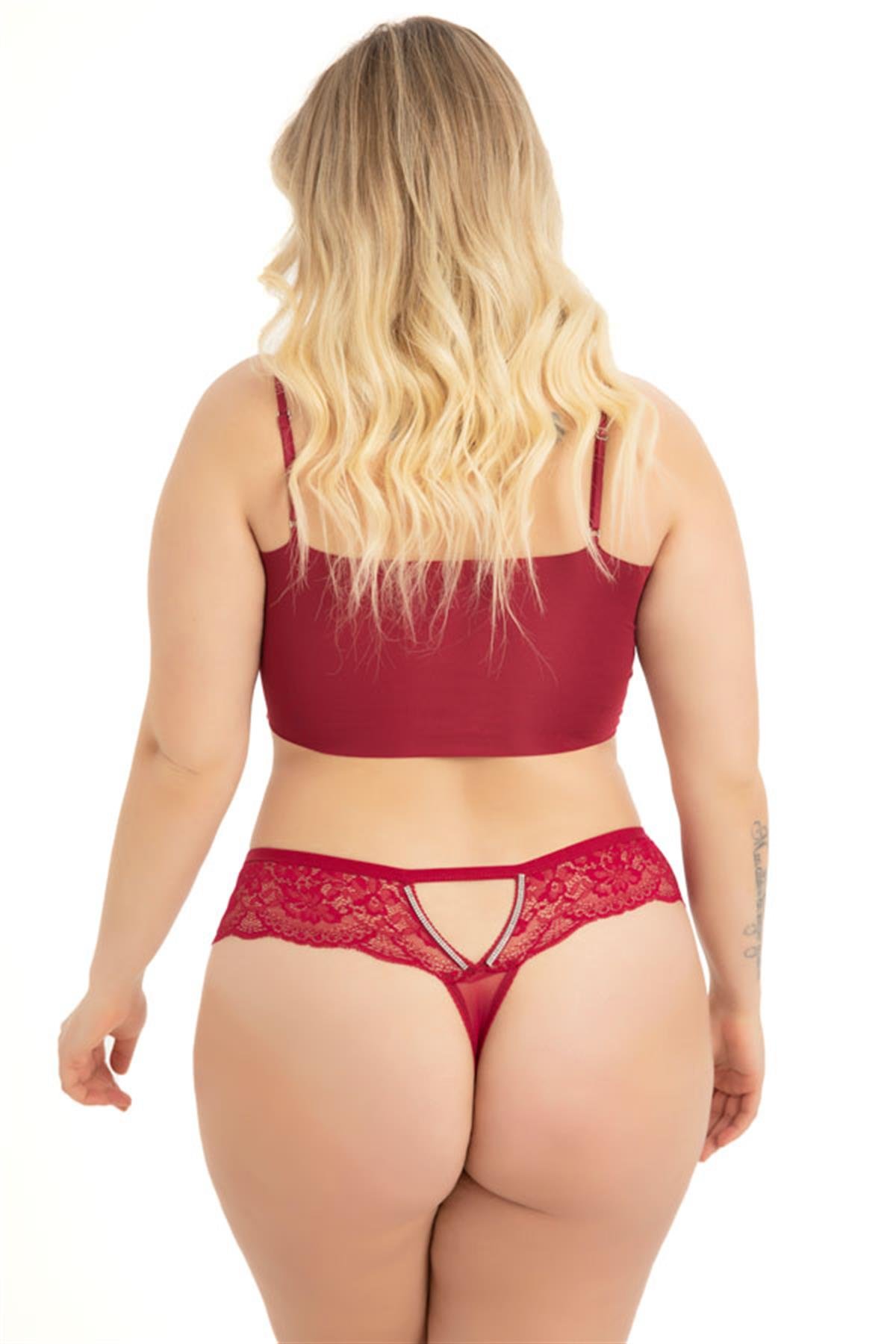 Transparan Tüllü Dantel ve Taş Detaylı Büyük Beden Kadın Tanga Külot 3lü Paket-2