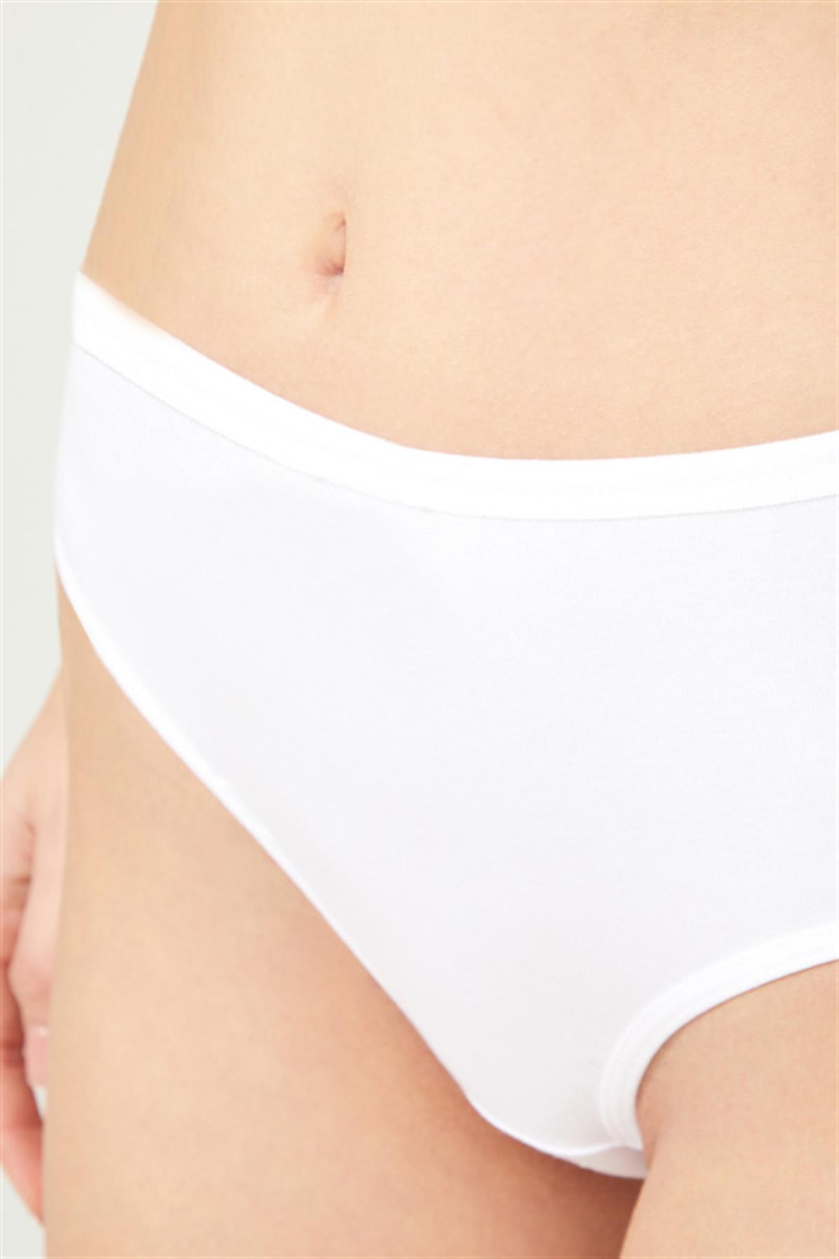 Basic Klasik Pamuklu Geniş Kenarlı Bato Külot 3lü Paket -3