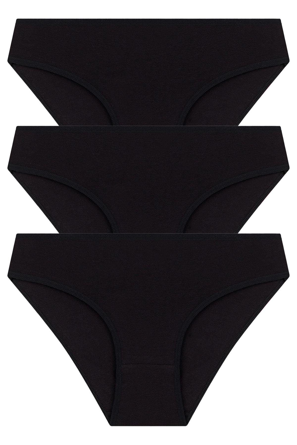 Basic Pamuklu Kadın Bikini Külot 3lü Paket - 7