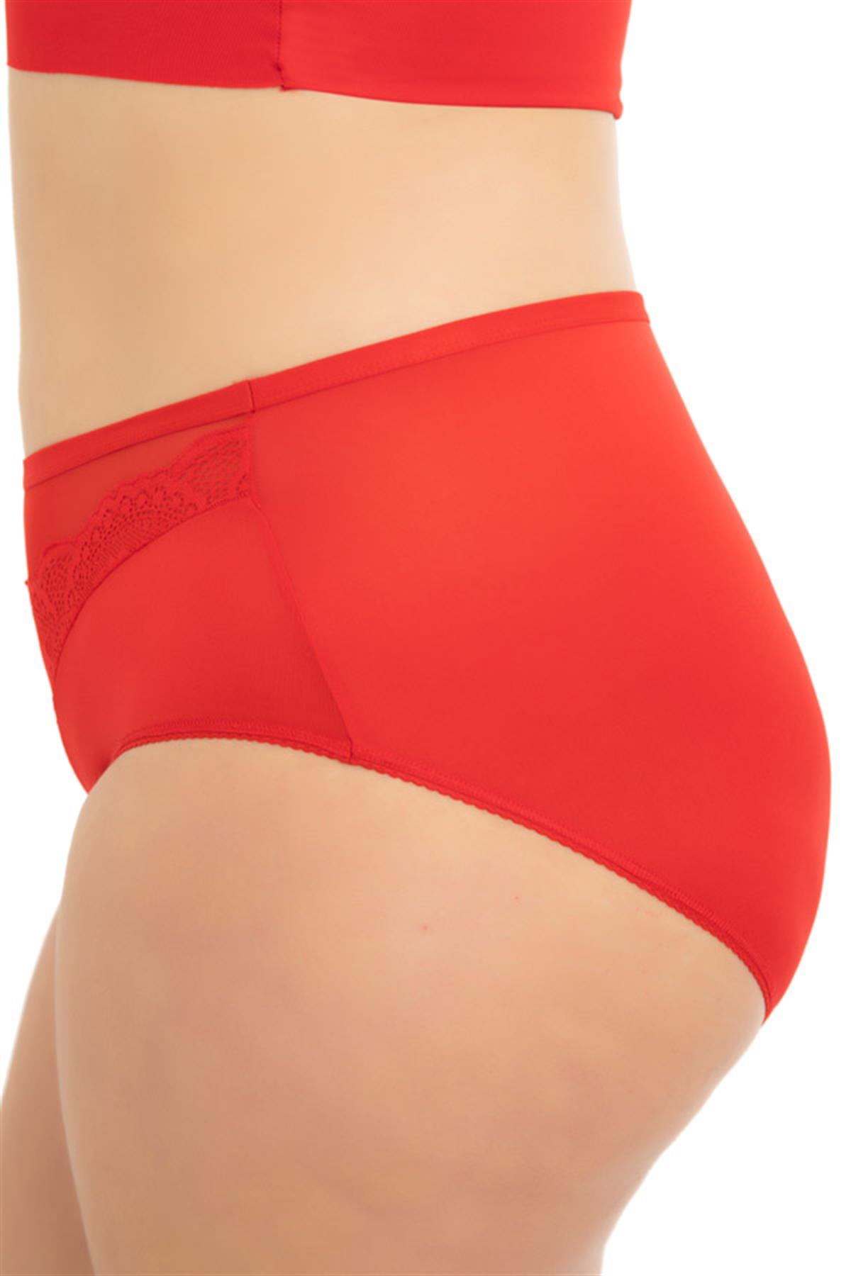 Transparan Tüllü Dantel Detaylı Beli Lastikli Büyük Beden Kadın Bikini Külot 5li Paket