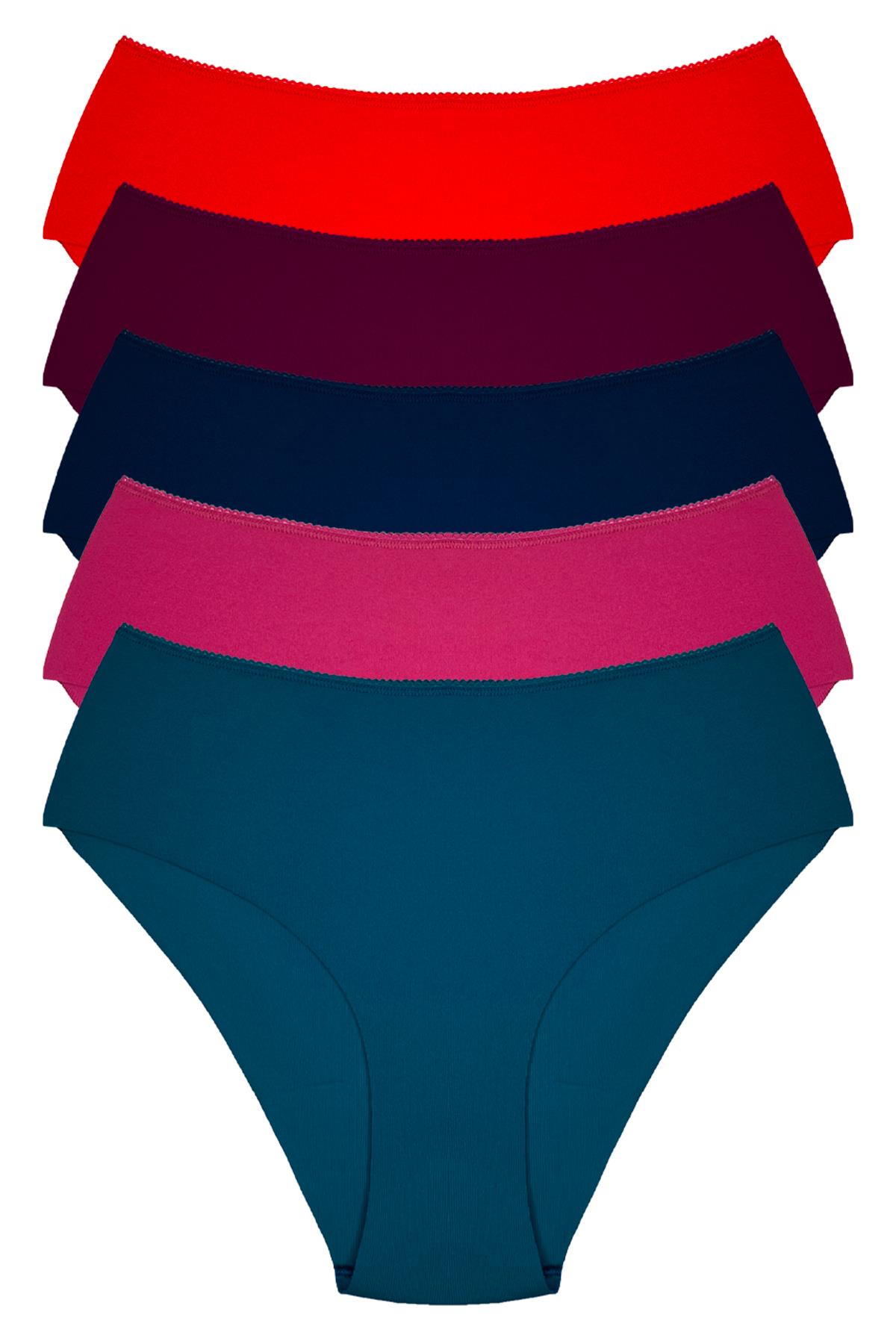 Basic Yüksek Bel Büyük Beden Kadın Lazer Külot 5li Paket-2