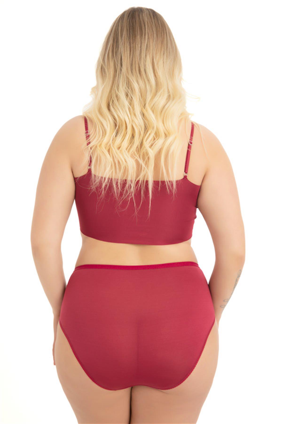 Transparan Tüllü Dantel Detaylı Beli Lastikli Büyük Beden Kadın Bikini Külot 5li Paket