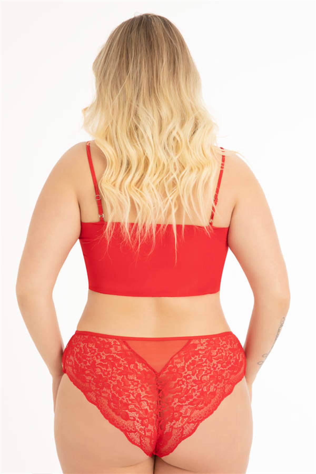 Transparan Tüllü Dantel ve Zincir Detaylı Büyük Beden Kadın Bikini Külot 5li Paket