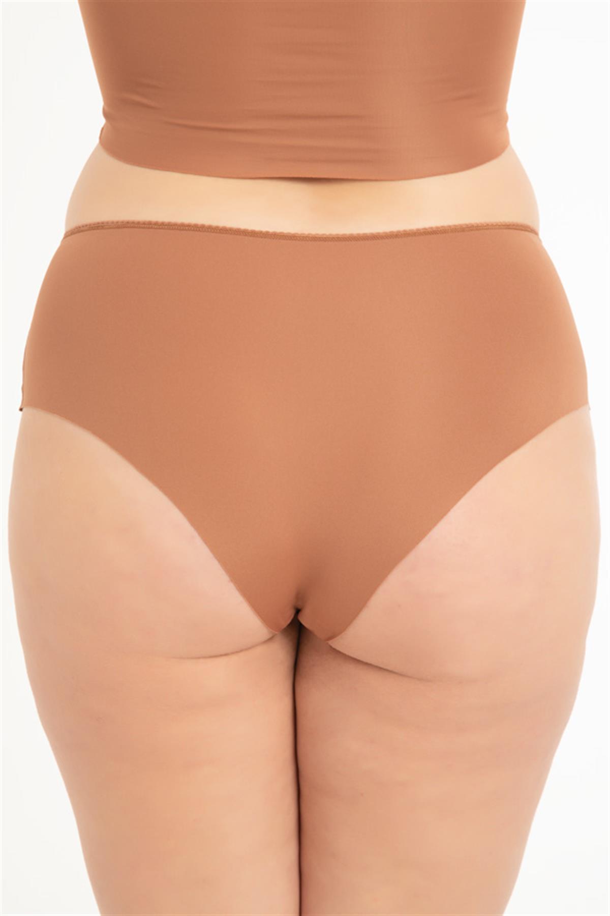 Dantel ve Taş Detaylı Lazer Kesim Büyük Beden Kadın Bikini Külot 3lü Paket