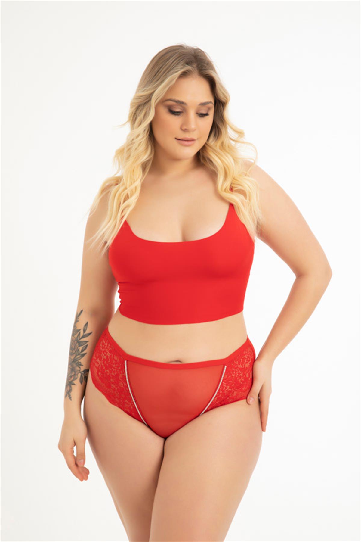 Transparan Tüllü Dantel Detaylı Büyük Beden Kadın Bikini Külot 3lü Paket