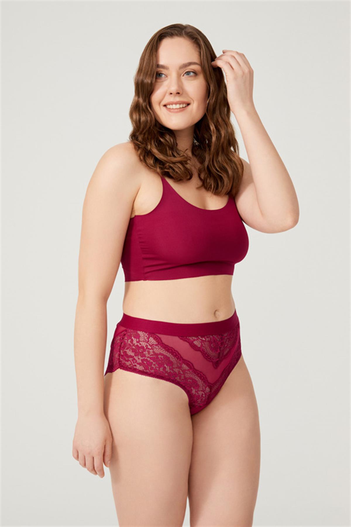 Dantelli Arkası Transparan Büyük Beden Bikini Külot 3lü Paket