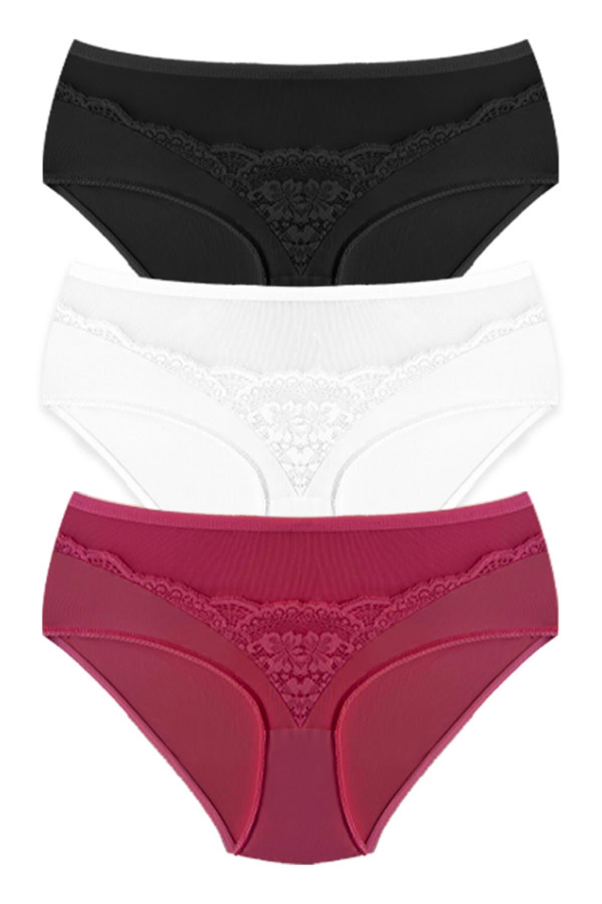 Transparan Tüllü Dantel Detaylı Beli Lastikli Büyük Beden Kadın Bikini Külot 3lü Paket-2