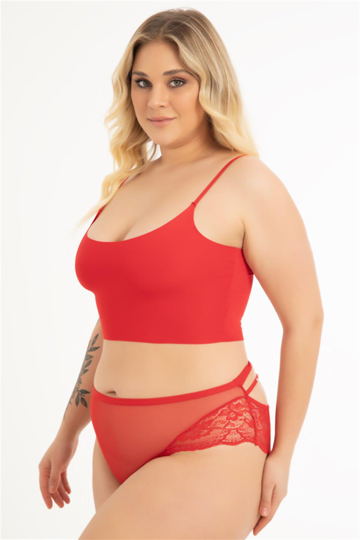 Transparan Tüllü Dantel ve Taş Detaylı Büyük Beden Kadın Bikini Külot 5li Paket