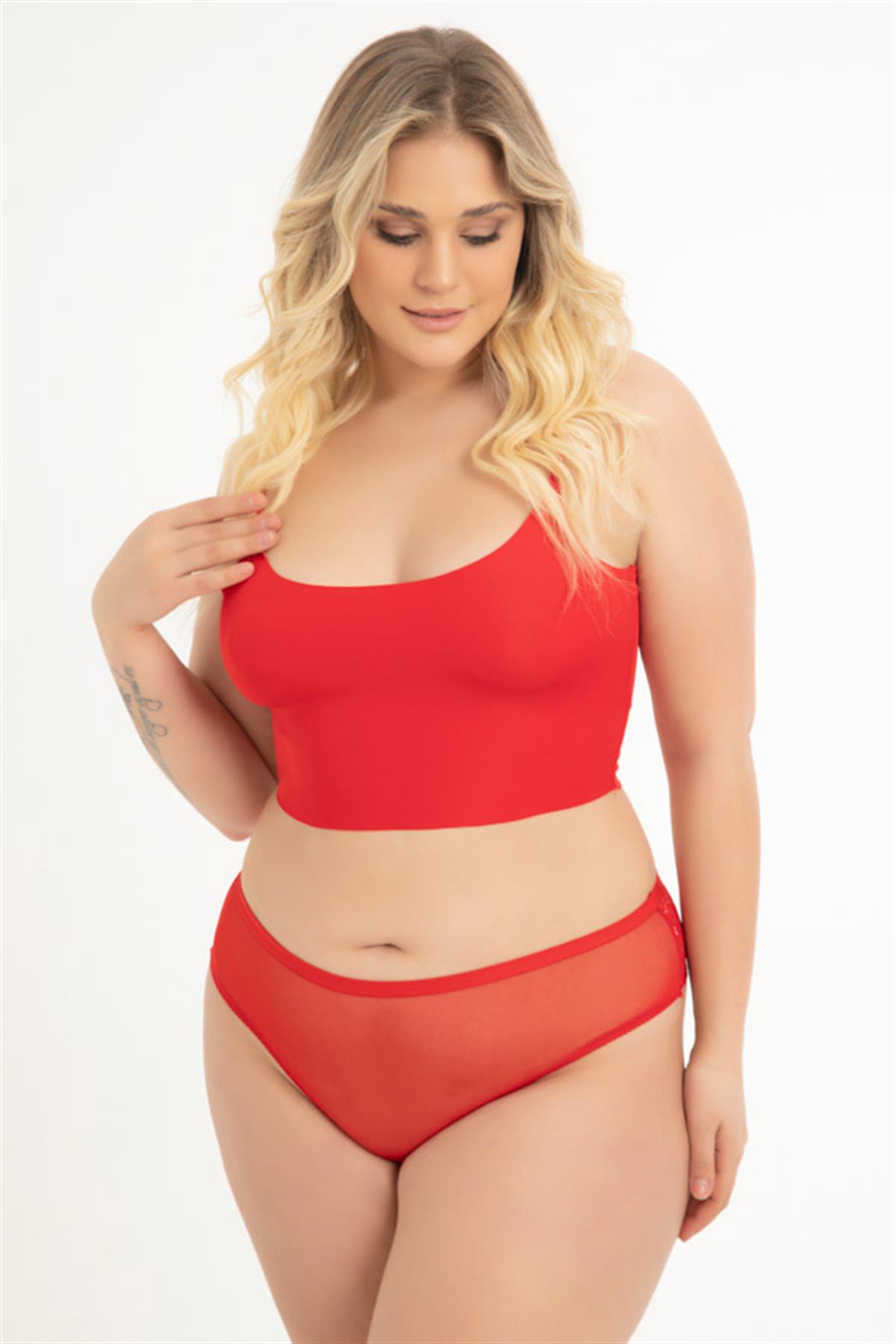 Transparan Tüllü Dantel ve Taş Detaylı Büyük Beden Kadın Tanga Külot 3lü Paket