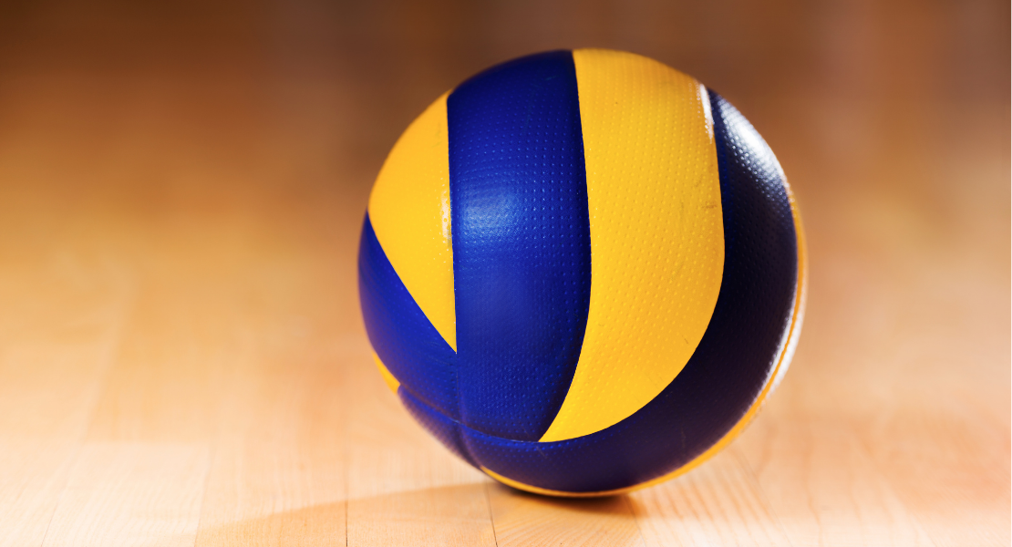 voleybol topu