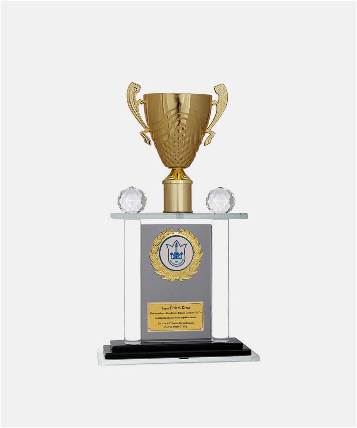 M220BaysporKristal PlaketlerBayspor M220 Kristal Plaket 40 cm
