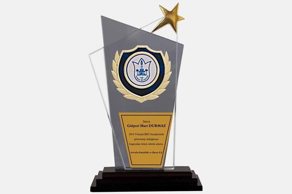Bayspor M15 Kristal Plaket 27 cm