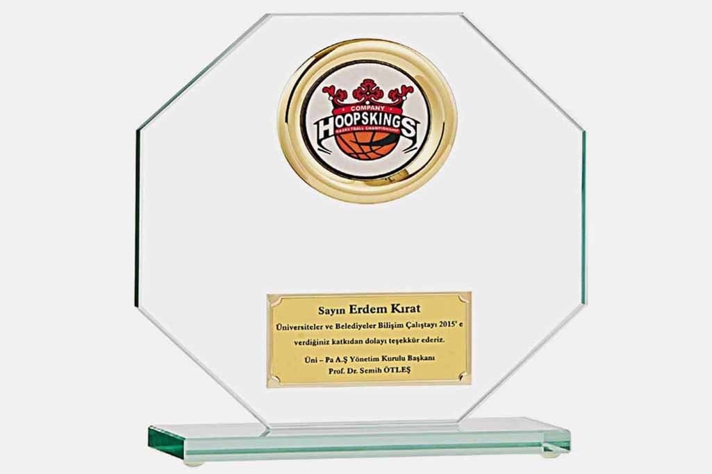 Bayspor M201 Kristal Plaket 24 cm