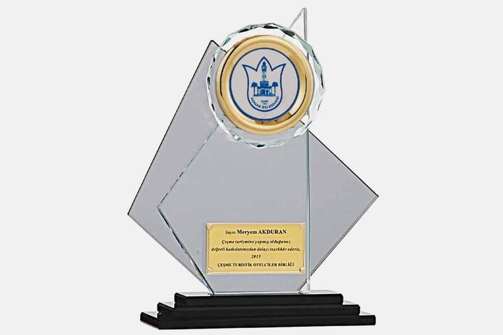 Bayspor M21 Kristal Plaket 24 cm