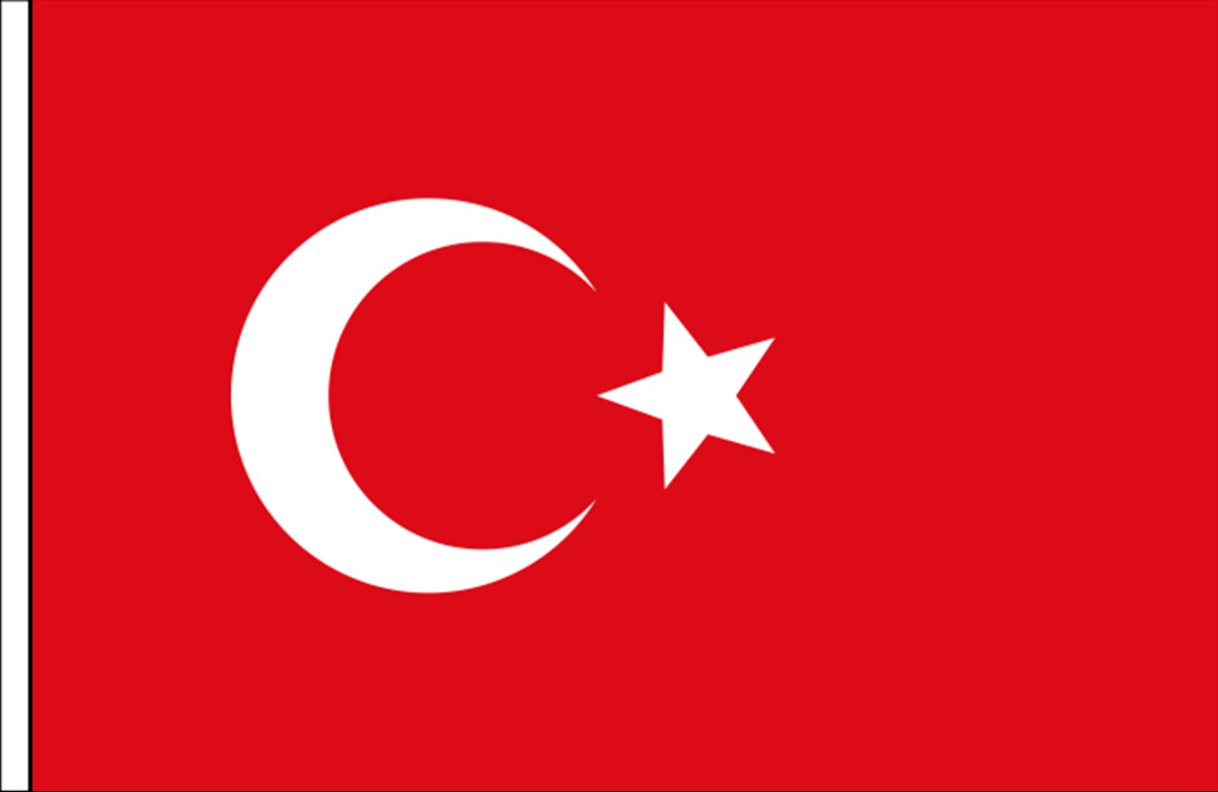B 2007 Alpaka Türk Bayrağı 40x60