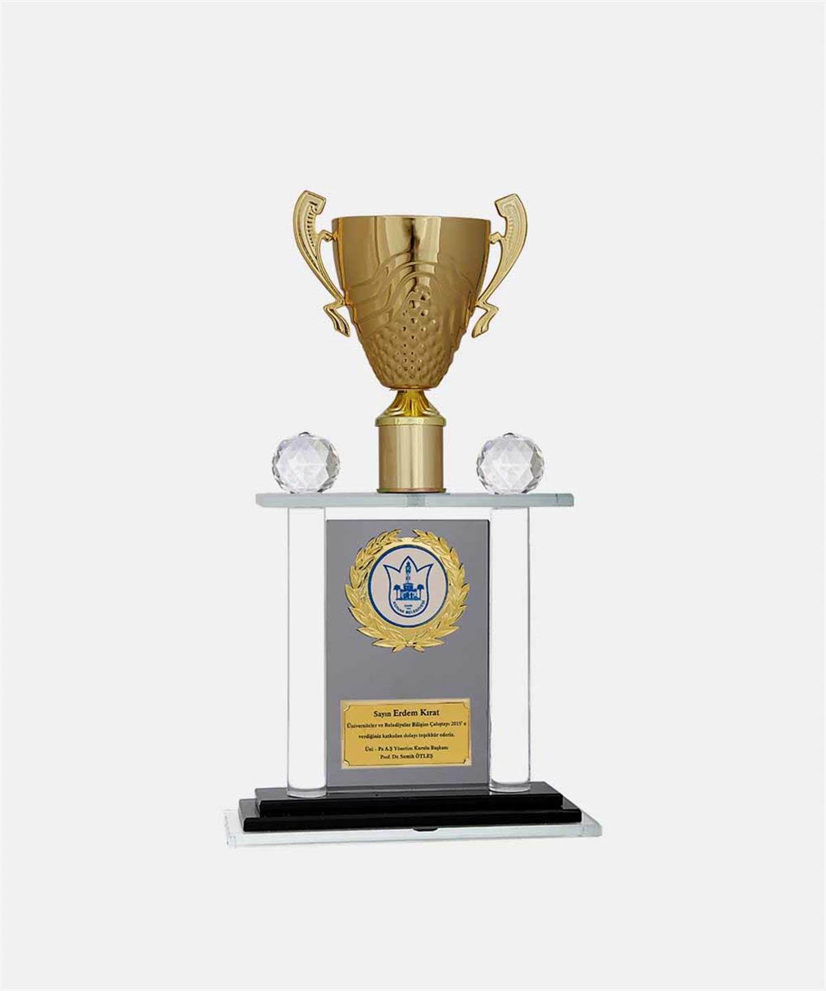 M220BaysporKristal PlaketlerBayspor M220 Kristal Plaket 40 cm