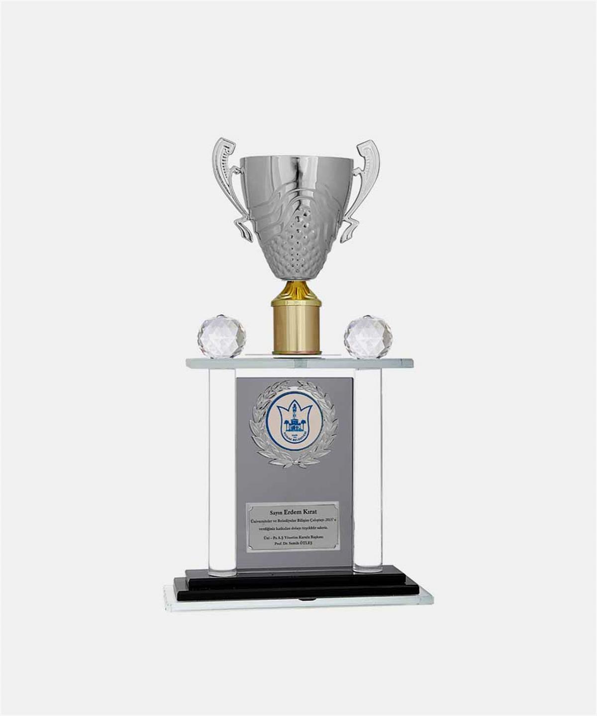 M223BaysporKristal PlaketlerBayspor M223 Kristal Plaket 40 cm