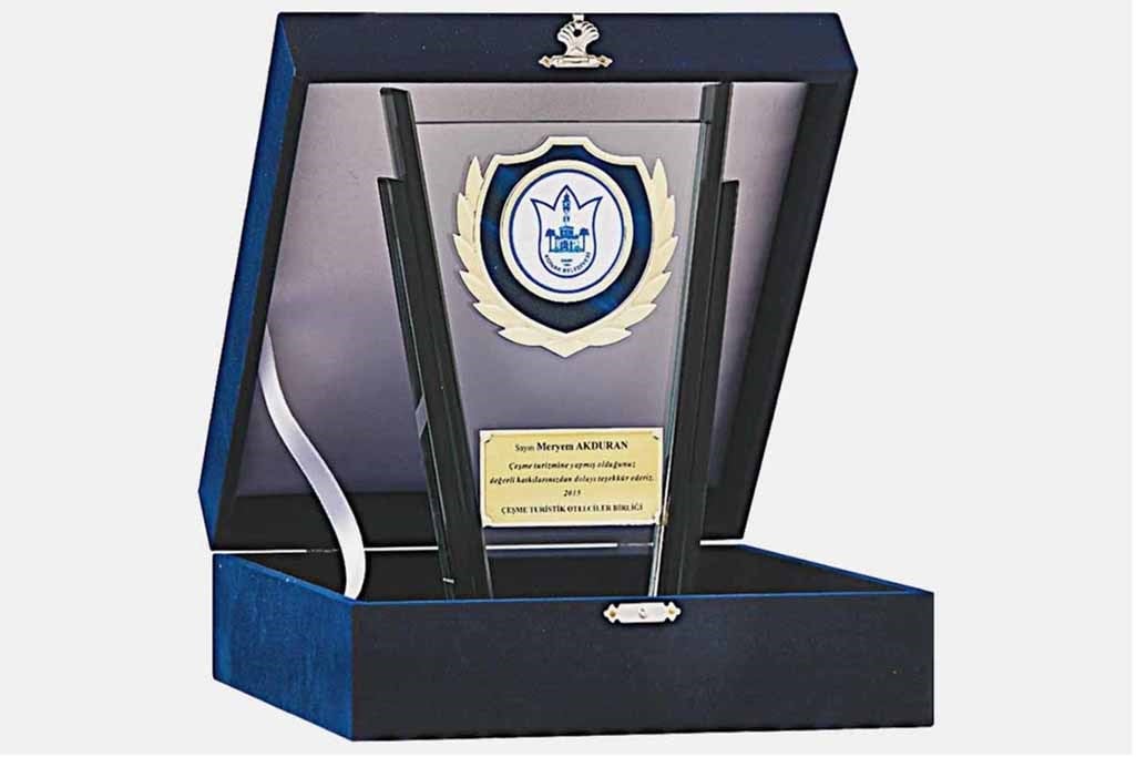 Bayspor M158 Kadife Kutulu Kristal Plaket 23 cm