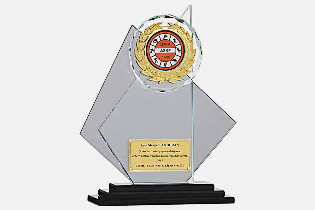Bayspor M17 Kristal Plaket 24 cm