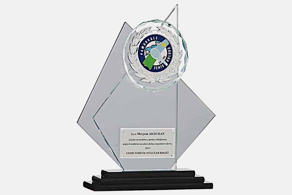 Bayspor M19 Kristal Plaket 24 cm