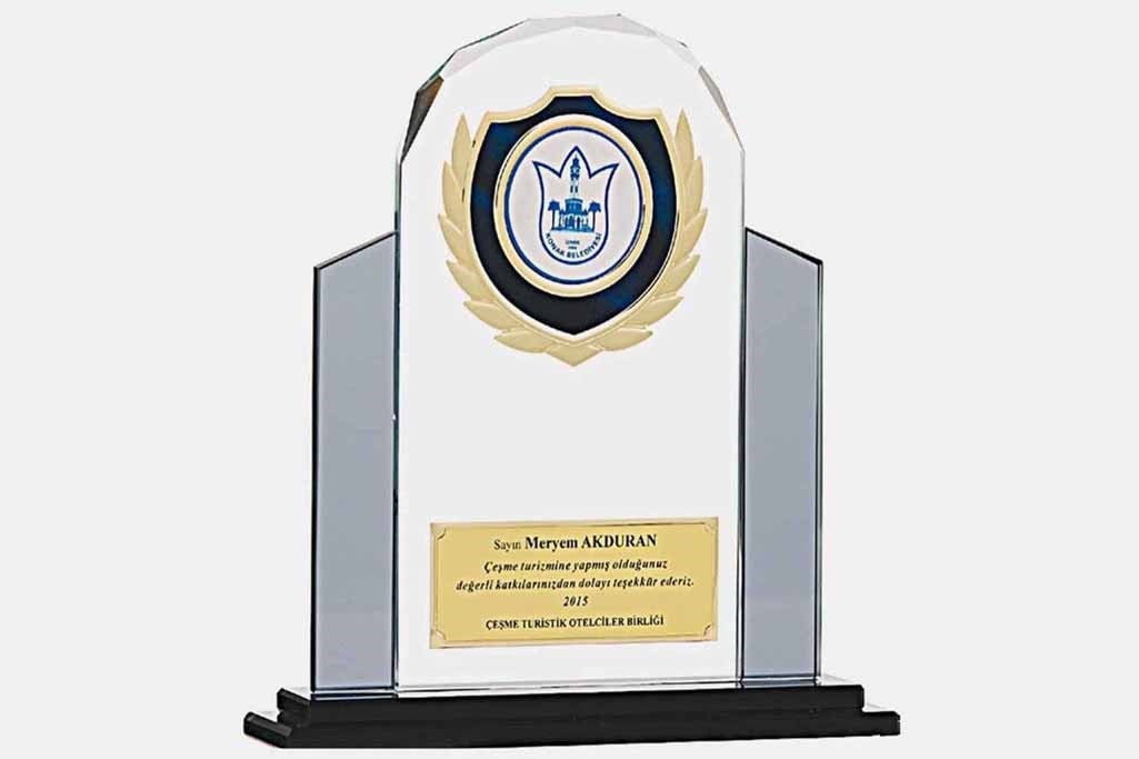 Bayspor M193 Kristal Plaket 24 cm
