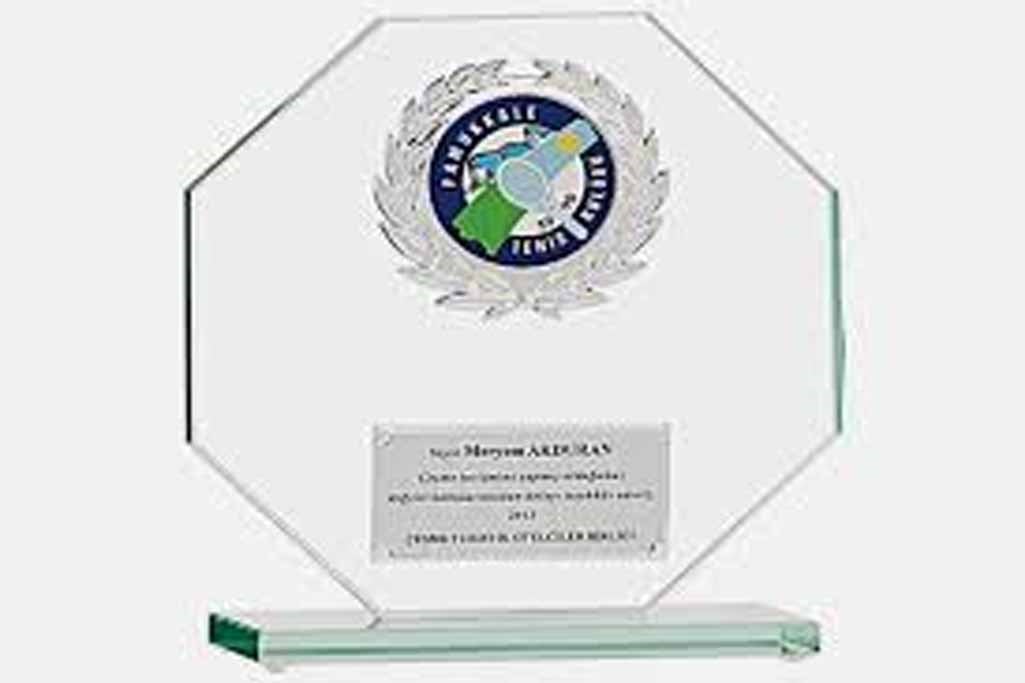 Bayspor M197 Kristal Plaket 18 cm