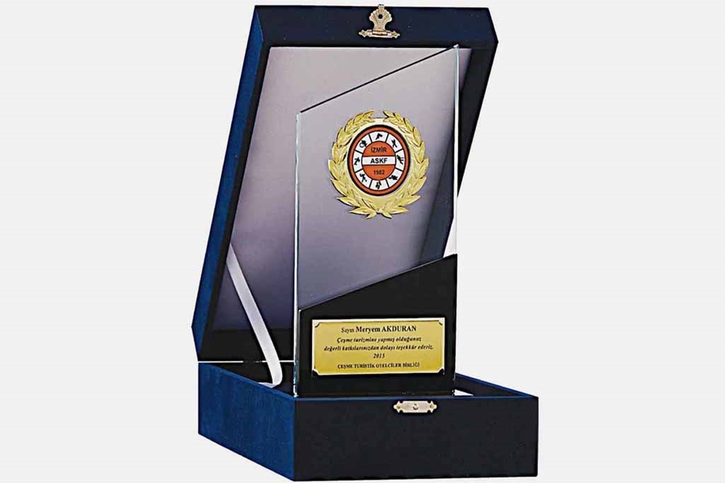 Bayspor M208 Kadife Kutulu Kristal Plaket 26 cm