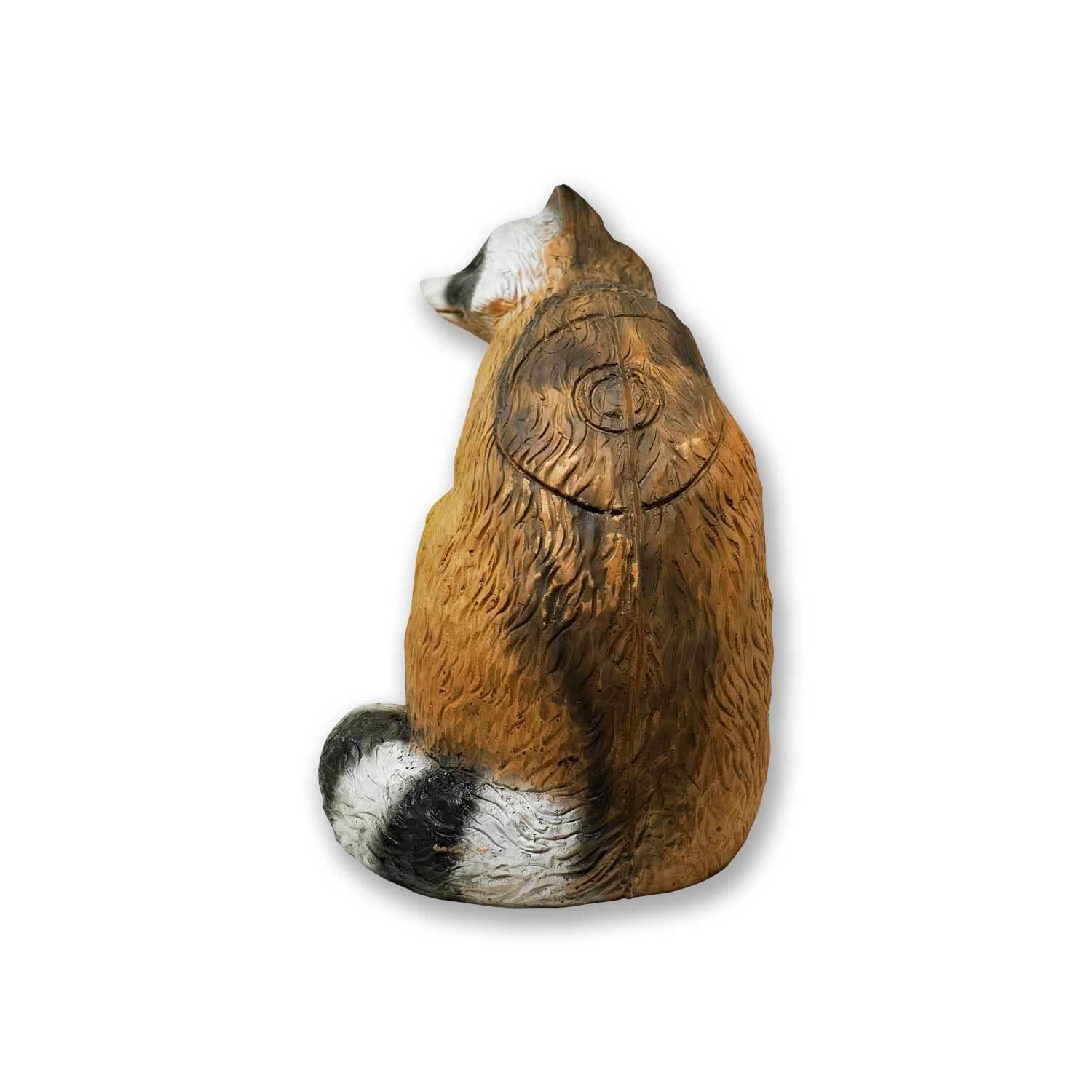 Pars 3D Hedef Raccoon