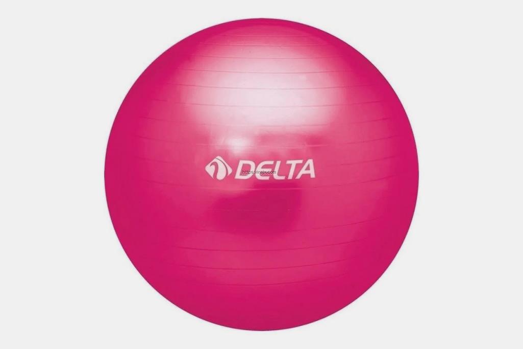 Delta Plates Topu 65 Cm Fuşya Ptf 963