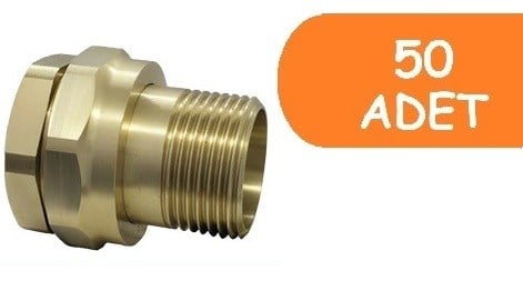 50 Adet ECA 3/4 Düz Rakor V.2 601002072