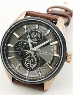 ARIES GOLD G 9021 RGBK-BR Erkek Kol Saati