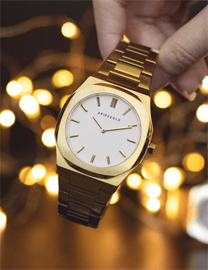 ARIES GOLD G 1031 G-WG Erkek Kol Saati