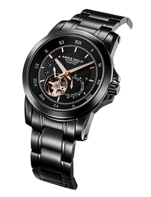 ARIES GOLD G 9001 BK-BK Erkek Kol Saati