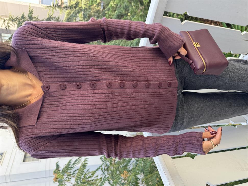 Açık Bordo Polo Yaka Hırka