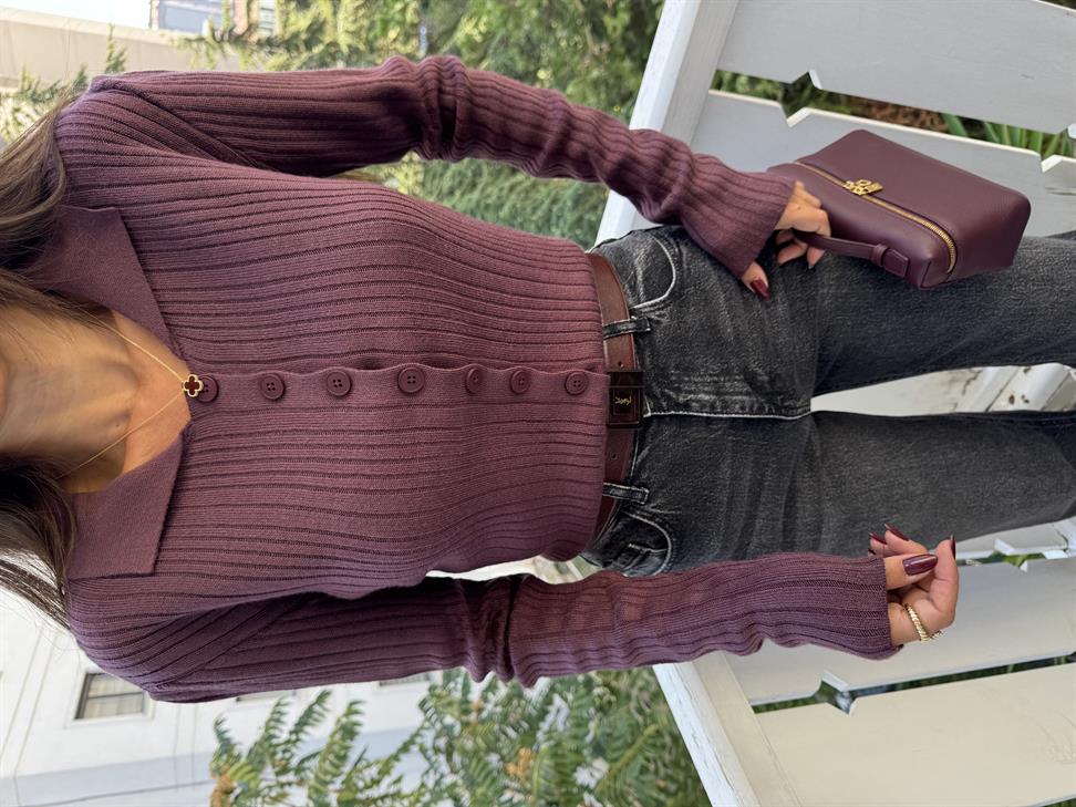 Açık Bordo Polo Yaka Hırka