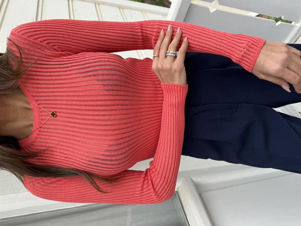 Nar Çiçeği Bisiklet Yaka Transparan Triko