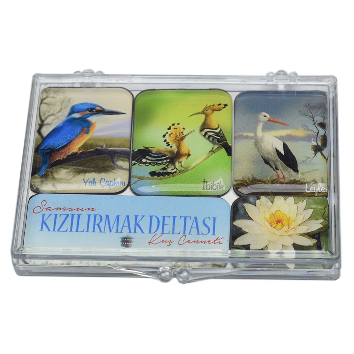 5 Li Magnet Seti 5 Li Magnet Seti