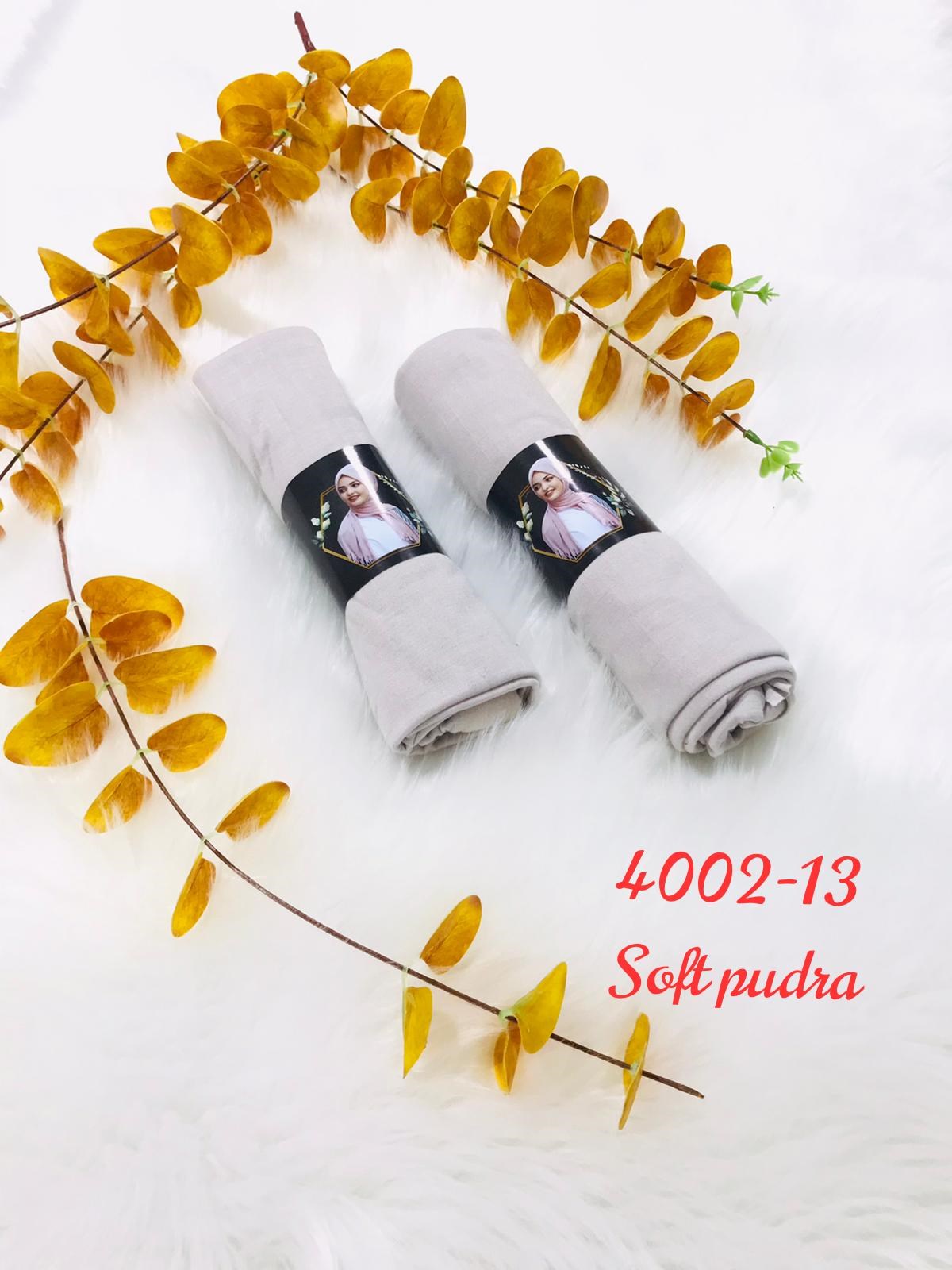4002 Pliseli Pratik Şal
